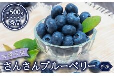 【早期予約開始!!2026年5月末より順次発送】【秀品】 ブルーベリー 500g × 1 パック 冷凍 健康 食品 果物 フルーツ ベリー そのまま おやつ 朝食 加工 お菓子 製菓 シャーベット ジャム ソース スムージー いちかわファーム 高知県 須崎市 IF022