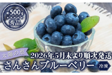 【早期予約開始!!2026年5月末より順次発送】【秀品】 ブルーベリー 500g × 1 パック 冷凍 健康 食品 果物 フルーツ ベリー そのまま おやつ 朝食 加工 お菓子 製菓 シャーベット ジャム ソース スムージー いちかわファーム 高知県 須崎市 IF022