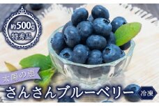【早期予約開始!!2026年5月末より順次発送】【特秀品】 ブルーベリー 500g 冷凍 健康 食品 果物 フルーツ ベリー そのまま おやつ 加工 お菓子 製菓 シャーベット ジャム ソース スムージー いちかわファーム 高知県 須崎市 IF034