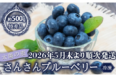 【早期予約開始!!2026年5月末より順次発送】【特秀品】 ブルーベリー 500g 冷凍 健康 食品 果物 フルーツ ベリー そのまま おやつ 加工 お菓子 製菓 シャーベット ジャム ソース スムージー いちかわファーム 高知県 須崎市 IF034