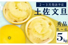 【2026年2月上旬から発送】 文旦 高知 5kg 秀品 3L 4L 浦ノ内特産 早期予約 予約受付中 期間限定 季節限定 限定 旬 みかん ミカン ぶんたん 高知県 土佐文旦 柑橘 贈答 お土産 KN024