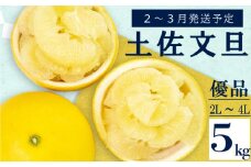 【2026年2月上旬から発送】 文旦 高知 5kg 優品 2L ～ 4L 浦ノ内特産 早期予約 予約受付中 期間限定 季節限定 限定 旬 みかん ミカン ぶんたん 高知県 土佐文旦 柑橘 贈答 お土産 KN025