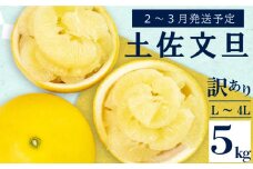【2026年2月上旬から発送】 訳あり 文旦 高知 5kg  L ～ 4L サイズ 混合 浦ノ内特産 早期予約 予約受付中 期間限定 季節限定 限定 旬 みかん ミカン ぶんたん 高知県 土佐文旦 柑橘 家庭用 KN026
