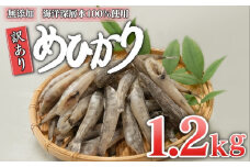 めひかり 干物 1200g 白身 骨 丸ごと 魚 おかず おつまみ カルシウム ミネラル 天然塩 海洋深層水 丸宮 宮本商店 高知県 須崎市 MMY036