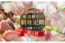 刺身 定期便 6ヶ月 小容量 コース 小島水産 がお届けする！ 美味しい お刺身 ( 鮮魚 下処理済 ) 産地直送 半年 新鮮 6回 （ ブリ かつおタタキ タイ カンパチ 鰤 鰹 鯛 環八 魚 海鮮 鮮魚 刺身 タタキ ） おさかなのまち すさき   鮮度 少人数 人気 高知県 須崎市 KS30000-x