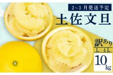 【2026年2月上旬から発送】 訳あり 文旦 高知 10kg  L ～ 4L サイズ 混合 浦ノ内特産 早期予約 予約受付中 期間限定 季節限定 限定 旬 みかん ミカン ぶんたん 高知県 土佐文旦 柑橘 家庭用 KN003-xx