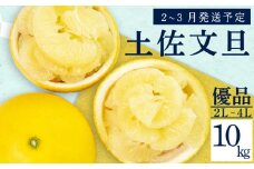 【2026年2月上旬から発送】 文旦 高知 10kg 優品 2L ～ 4L 浦ノ内特産 早期予約 予約受付中 期間限定 季節限定 限定 旬 みかん ミカン ぶんたん 高知県 土佐文旦 柑橘 贈答 お土産 KN002-x