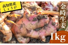 高知県産 しょうが 「 金時生姜 」1kg 新鮮 野菜 薬味 大容量 高知 須崎 高知県 須崎市 HNT022