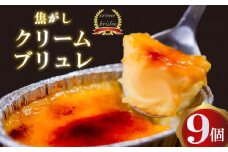濃厚焦がしクリームブリュレ 9個 冷凍 アイス プリン カタラーナ スイーツ デザート 卵 お菓子 洋菓子  焼き菓子 氷菓子 ギフト おやつ キャラメル ミルク個 牛乳 生クリーム 包装 贈答 飯テロ 夜食 贅沢 ご褒美 贈り物 お取り寄せグルメ アフタヌーンティー 高知 高知県 須崎 
