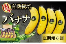 【毎月6回定期便】高級 バナナ 500g 以上 6回 国産 有機栽培 高知初 糖度 25度以上 果物 フルーツ 高知県 須崎市