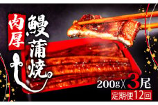 【12ヶ月連続定期便】うなぎ 蒲焼 肉厚 養殖 鰻  200g×3尾 セット ( ふっくら 香ばしい 頭付き 鰻 手焼き 蒲焼 タレ付き ふっくら 香ばしい うなぎ蒲焼き 鰻蒲焼 台湾産 養殖鰻 養殖うなぎ 冷凍 惣菜 真空パック 温めるだけ 簡単調理 高知県 須崎市 12回 定期便 )ME13000