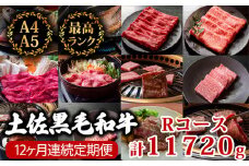 【12回定期便】土佐黒毛和牛 食べ比べ 11720g (計11kg以上) | Rコース 厳選 国産 和牛 すき焼き しゃぶしゃぶ ステーキ 焼き肉 お肉 にく 霜降り 牛肉 ウデ肉 うで肉 モモ肉 もも肉 サーロイン リブロース 人気 贈答 ギフト プレゼント 小分け 数量限定 12ヵ月 頒布会 老舗 たけうちミート 高知県 須崎市 TM20000