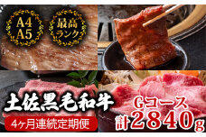 【4回定期便】土佐黒毛和牛 食べ比べ 2840g (計2.8kg以上) | Gコース 厳選 国産 和牛 すき焼き しゃぶしゃぶ ステーキ 焼き肉 お肉 にく 霜降り 牛肉 ウデ肉 うで肉 モモ肉 もも肉 サーロイン 人気 贈答 ギフト プレゼント 小分け 数量限定 4ヵ月 頒布会 老舗 たけうちミート 高知県 須崎市 TM9000