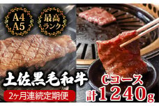 【2回定期便】土佐黒毛和牛 食べ比べ 1240g (計1.2kg以上) | Cコース 厳選 国産 和牛 ステーキ 焼き肉 お肉 にく 霜降り 牛肉 モモ肉 もも肉 サーロイン 人気 贈答 ギフト プレゼント 小分け 数量限定 2ヵ月 頒布会 老舗 たけうちミート 高知県 須崎市 TM5000