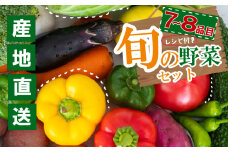 季節の野菜セット 産地直送 朝採れ （7品 ～ 8品 野菜 セット 詰め合わせ 特産 季節 旬 新鮮 彩 ベジタブル 高知県 須崎市  ） NPO020