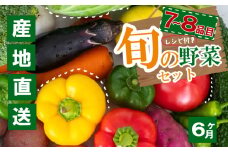 野菜定期便 7品~8品 6ヵ月 産地直送 朝採れ （ 7品 ～ 8品 野菜 セット 詰め合わせ 特産 季節 旬 新鮮 彩 ベジタブル 高知県 須崎市  ）NPO21000