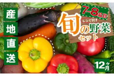 野菜定期便 7品~8品 12ヵ月 産地直送 朝採れ （ 7品 ～ 8品 野菜 セット 詰め合わせ 特産 季節 旬 新鮮 彩 ベジタブル 高知県 須崎市  ）NPO22000