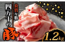 四万十ポークスライス1.2kg | 300g × 4パック セット 豚肉 豚バラ肉 小分け 小間切れ スライス 切り落とし 冷凍 真空パック 簡単調理 細切れ 大容量 肉 高知県 須崎市 TM037