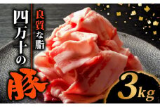 四万十ポークスライス3kg | 300g × 10パック セット 豚肉 豚バラ肉 小分け 小間切れ スライス 切り落とし 冷凍 真空パック 簡単調理 細切れ 大容量 肉 高知県 須崎市 TM040
