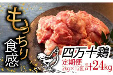 【定期便12回】銘柄鶏 四万十鶏 もも肉 計24kg（2kg×12ヶ月連続お届け) Uコース | 切身 カット 時短 小分け カット済み 鳥肉 とりにく 鶏もも 冷蔵 国産 ブランド 唐揚げ 煮物 鍋 チキン 南蛮 高知県 須崎市 TM23000
