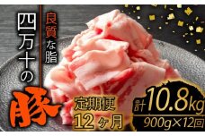 【定期便12回】四万十ポークスライス 計10.8kg（900g×12ヶ月連続お届け) 2Dコース | 豚肉 豚バラ肉 小分け 小間切れ スライス 切り落とし 冷凍 真空パック 簡単調理 細切れ 大容量 肉 高知県 須崎市 TM32000