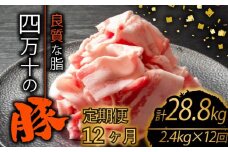 【定期便12回】四万十ポークスライス 計28.8kg（2.4kg×12ヶ月連続お届け) 2Mコース | 豚肉 豚バラ肉 小分け 小間切れ スライス 切り落とし 冷凍 真空パック 簡単調理 細切れ 大容量 肉 高知県 須崎市 TM41000