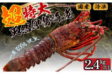 超特大 伊勢海老 2.4kg 以上 3尾 冷凍 ( 超特大サイズ 急速冷凍 えび エビ 高級 鮮魚 海鮮 魚介 刺身 焼き物 汁物 ギフト 贈答 贈り物 祝い 歳暮 中元 ) IKY059