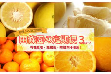 全 3回 3ヶ月 果物 定期便 ぽんかん 土佐 文旦 オーガニック 無農薬 防腐剤 不使用 高知県 須崎市 柑橘 蜜柑 みかん オレンジ フルーツ 果物 お取り寄せ 家庭用 高知県 須崎市 頒布会
