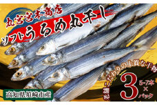 うるめの丸干し(ソフト) 3パック 鰯 煮干し 真いわし 真鰯 稚魚 おやつ 乾物 魚介 加工品 ウルメ 丸宮 宮本 商店 土佐 海洋深層水 ミネラル 高知県 須崎市 MMY044