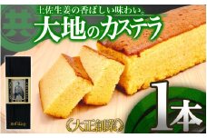 大地のカステラ  国産 スイーツ デザート 焼き菓子 ケーキ 高知県 須崎市 MK025