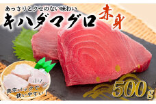 訳あり 大満足！もちもち キハダマグロ 赤身 500g  TY036