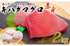 訳あり 大満足！もちもち キハダマグロ 赤身 2kg TY037