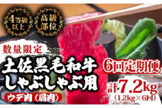 【定期便6回】土佐黒毛和牛ウデ肉しゃぶしゃぶ用 計7.2kg（1.2kg×6ヶ月連続お届け) 3Eコース | 特撰 ウデ肉 肩肉 最上位等級 A4 A5 最高ランク 贅沢 しゃぶしゃぶ　鍋 スライス 焼肉用 小分け 冷凍 国産 牛肉 高知県 須崎 TM59000