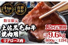 【定期便12回】土佐 黒毛 和牛 焼肉用 計9.6kg（800g×12ヶ月連続お届け) 4Tコース | 特撰 リブロース ロース 最上位等級 A4 A5 最高ランク 贅沢 焼き肉 やきにく 小分け 冷凍 国産 ブランド 和牛 牛肉 大人気 ギフト リピート おすすめ ランキング おいしい 限定 高評価 BBQ バーベキュー キャンプ アウトドア 高知県 須崎 TM100000