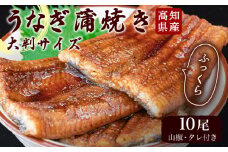 うなぎ 鰻 蒲焼 約 200g × 10尾 セット 高知県 産 蒲焼き 高知 須崎市 ウナギ 