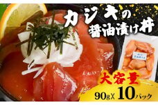 カジキ 醤油 漬け丼 10パック セット かじき マグロ 鮪 90g × 10 パック 高知県 須崎市 TY054