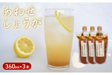 濃縮 生姜 シロップ パウチ 3パック セット 360ml 万能 調味料 生姜 自由自在 あわせしょうが ドレッシング 飲料 調理 ジュース KP008