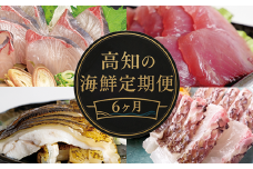 【 高知 の 海鮮 定期便 】 旬 海鮮定期便 6回 お楽しみ 高知 海鮮 かつお タタキ 鯛 タイ 勘八 カンパチ 牡蠣 カキ しらす シラス ウツボ うつぼ 貝 盛合 定期便 6回  半年 高級魚  魚貝 道の駅 高知県 須崎市 NS10000-x