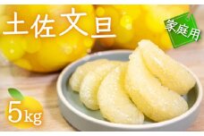 訳あり 文旦 5kg 早期予約 2026年2月より 順次発送  産地直送 安和 文旦 家庭用 高知県産 柑橘 フルーツ ぶんたん 果物 みかん 高知県 須崎 NPO004_x