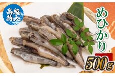 【高級】特大めひかり 500g メヒカリ 干物 寒風 天日干し 魚 カルシウム 冷凍 産地直送 ご飯のお供 漁師 おつまみ 高知県 須崎市 TKM023