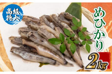 【高級】特大めひかり 2kg メヒカリ 干物 寒風 天日干し 魚 カルシウム 冷凍 産地直送 ご飯のお供 漁師 おつまみ 高知県 須崎市 TKM025