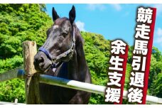 競走馬 支援 1万円 コース 黒潮友馬会応援 10000円 特典 ポストカード 競馬 サラブレッド 引退 高知県 須崎市 選べる 寄付額 引退 余生支援