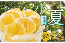 【 訳あり 】 小夏 ( 日向夏 ) 5kg 産地直送 ニューサマーオレンジ 無印 等級  旬 高知 県 須崎 産  柑橘 初夏 フルーツ 果物 こなつ コナツ ひゅうが夏 みかん オレンジ HK001