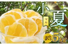 【 超訳あり 】 小夏 ( 日向夏 ) 5kg 産地直送 ニューサマーオレンジ マル 等級  旬 高知 県 須崎 産  柑橘 初夏 フルーツ 果物 こなつ コナツ ひゅうが夏 みかん オレンジ HK002