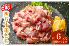 【定期便12回】銘柄鶏 四万十鶏 もも肉 計6kg（500g×12ヶ月連続お届け) 4Wコース | 切身 カット 時短 小分け カット済み 鳥肉 とりにく 鶏もも 冷凍 国産 ブランド 唐揚げ 煮物 鍋 チキン 南蛮 高知県 須崎市 TM103000