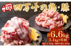 【6ヶ月連続】四万十ブランド 鶏肉500g 豚肉600g（計1.1kg×6回）6.6kg 6回定期便 5Qコース｜ 四万十ポークスライス 四万十ポーク 豚バラ肉 小分け 小間切れ スライス 切り落とし 冷凍 真空パック 細切れ 切身 カット 一口大 カット済み  四万十鶏 鳥肉 とりにく 鶏もも 国産 ブランド 唐揚げ 煮物 鍋 チキン 高知県 須崎市 TM123000