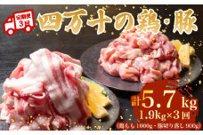 【3ヶ月連続】四万十ブランド 鶏肉1kg 豚肉900g（計1.9kg×3回) 5.7kg 3回定期便 6Eコース｜ 四万十ポークスライス 四万十ポーク 豚バラ肉 小分け 小間切れ スライス 切り落とし 冷凍 真空パック 細切れ 切身 カット 一口大 カット済み  四万十鶏 鳥肉 とりにく 鶏もも 国産 ブランド 唐揚げ 煮物 鍋 チキン 高知県 須崎市 TM137000