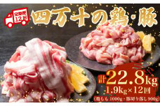 【12ヶ月連続】四万十ブランド 鶏肉1kg 豚肉900g（計1.9kg×12回) 22.8kg 12回定期便 6Gコース｜ 四万十ポークスライス 四万十ポーク 豚バラ肉 小分け 小間切れ スライス 切り落とし 冷凍 真空パック 細切れ 切身 カット 一口大 カット済み  四万十鶏 鳥肉 とりにく 鶏もも 国産 ブランド 唐揚げ 煮物 鍋 チキン 高知県 須崎市 TM139000