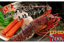 特大伊勢海老 1匹 高級 本からすみ 100g  ( 特大サイズ 急速冷凍 えび エビ からすみ カラスミ 珍味 高級 鮮魚 海鮮 魚介 魚卵 刺身 焼き物 汁物 セット ギフト 贈答 贈り物 祝い 歳暮 中元 ) IKY062