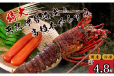 特大伊勢海老 7匹 高級 本からすみ 600g  ( 特大サイズ 急速冷凍 えび エビ からすみ カラスミ 珍味 高級 鮮魚 海鮮 魚介 魚卵 刺身 焼き物 汁物 セット ギフト 贈答 贈り物 祝い 歳暮 中元 ) IKY066